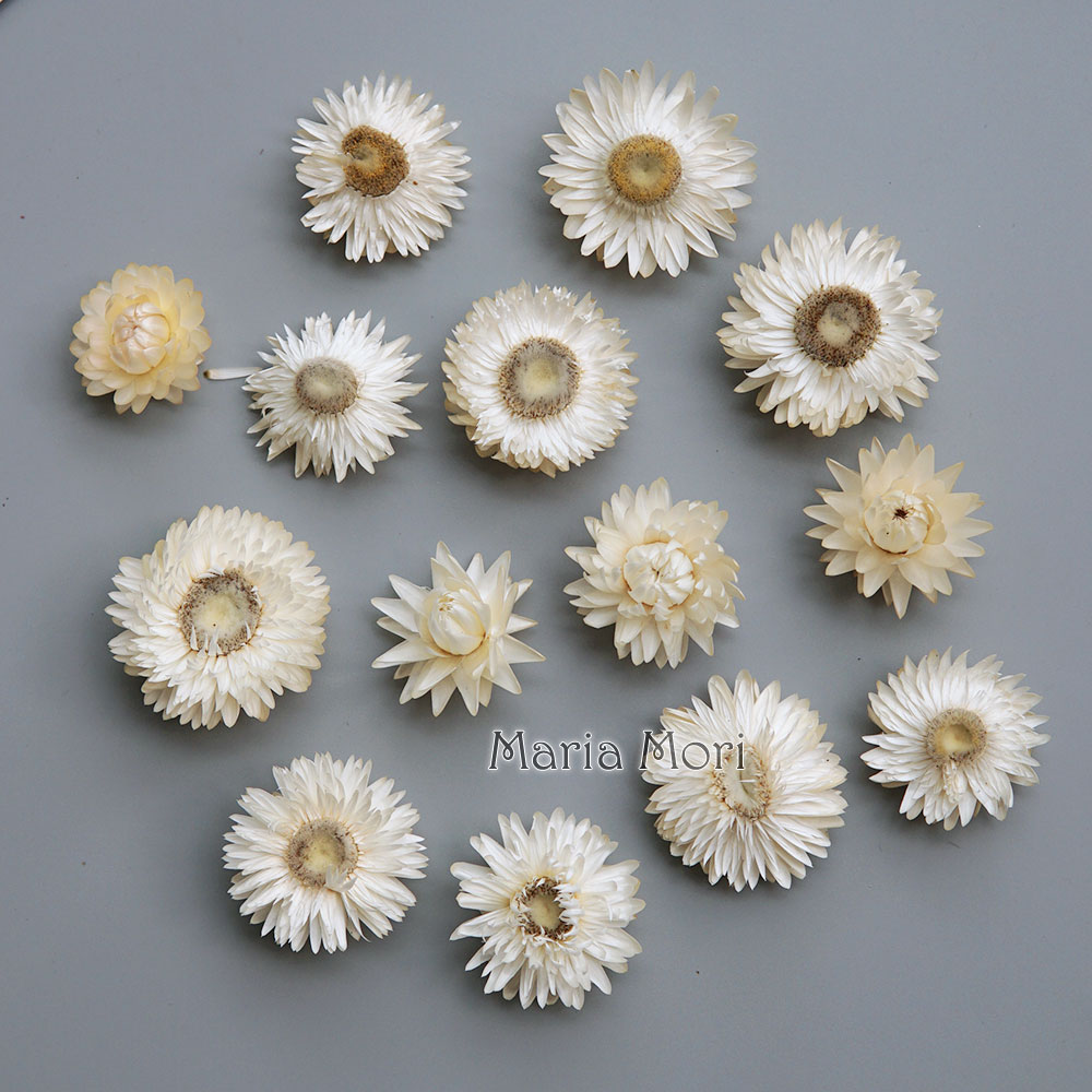 Baby Products 1 Year - Couronne de chrysanthème colorée séchée naturelle,