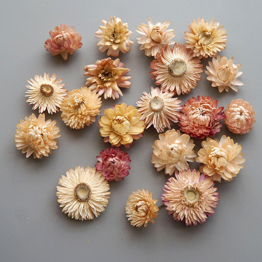 Couronne de chrysanthème color - Baby Products 1 Year avis et prix